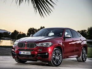 Коврики EVA для BMW X6 II (suv / F16) 2014 - 2020